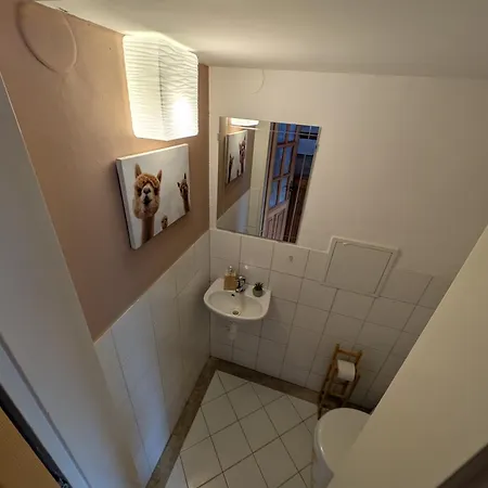 Lucy * Vysoké Tatry